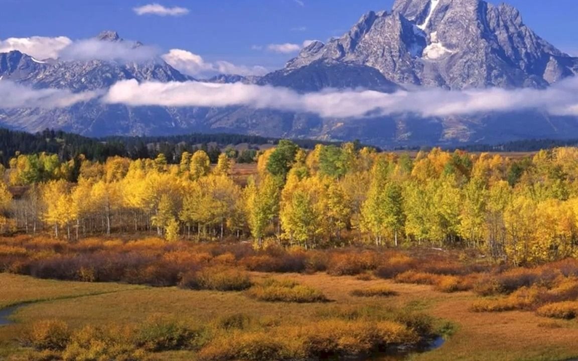 XX商场装修项目